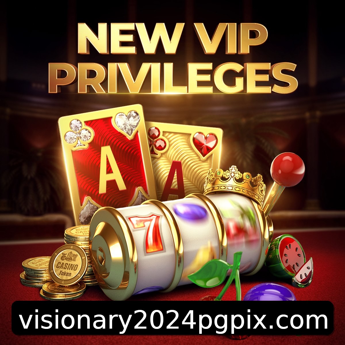 Programa VIP visionary2024pg
